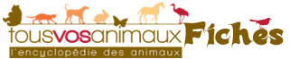 L'encyclopdie des animaux