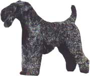 KERRY BLUE TERRIER